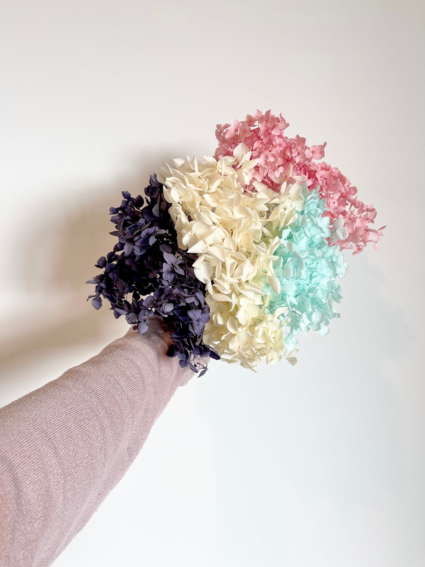 Preserved Hydrangea Mixed Bunch