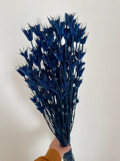 Dried Flower Nigella - Navy Blue