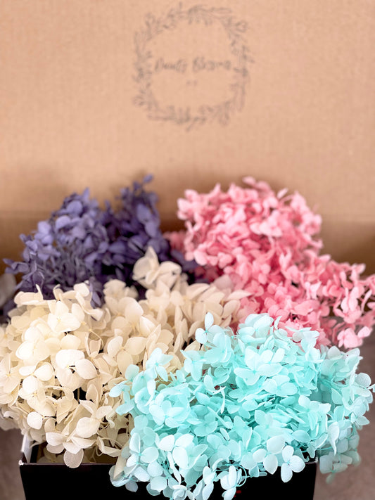 Preserved Hydrangea Mixed Bunch